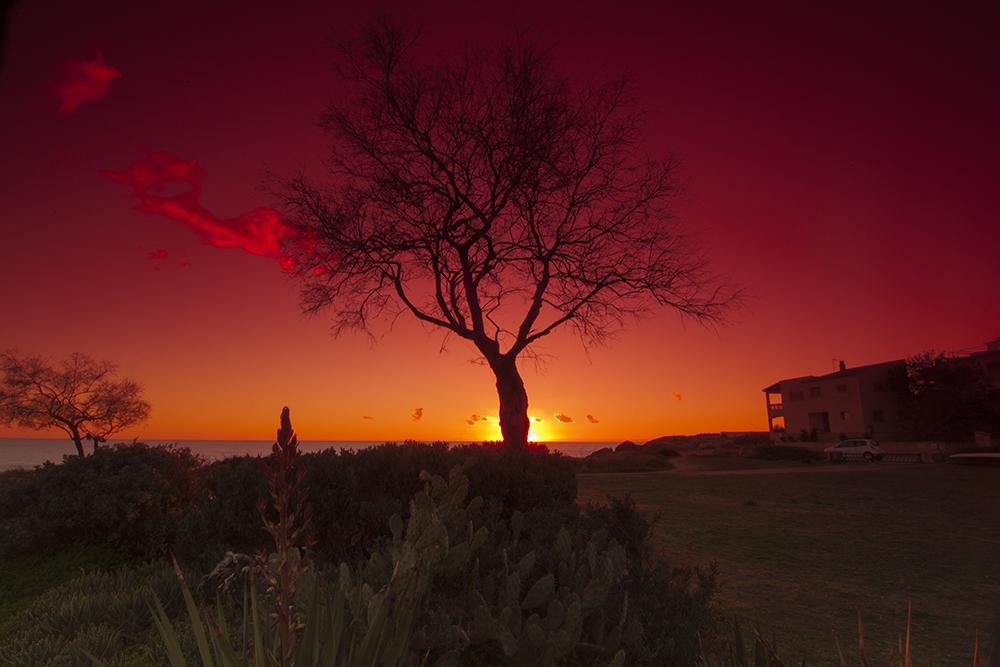 Cau es sol de s'horabaixa