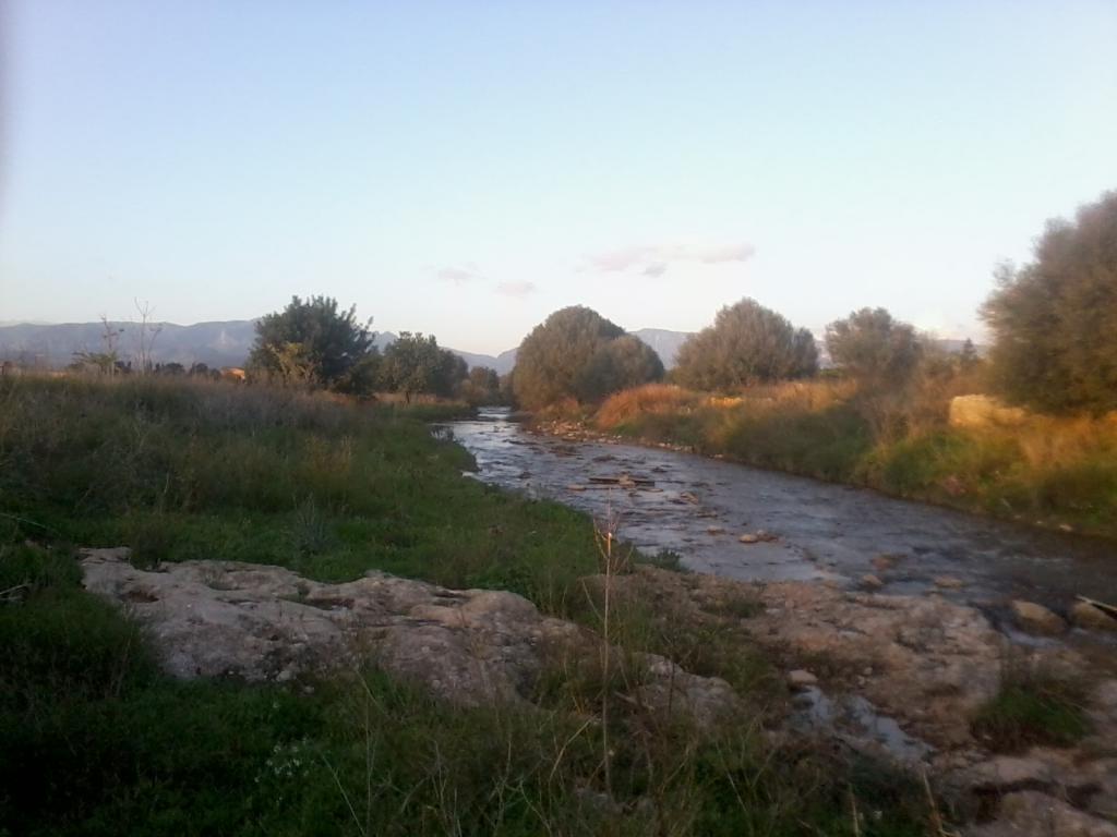 torrent viu