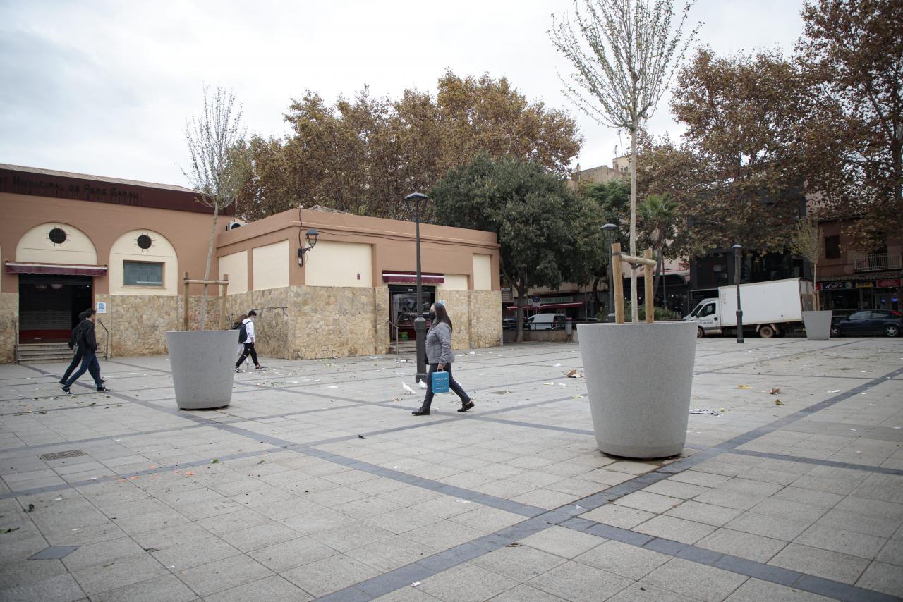 Barrios de Palma: Pere Garau