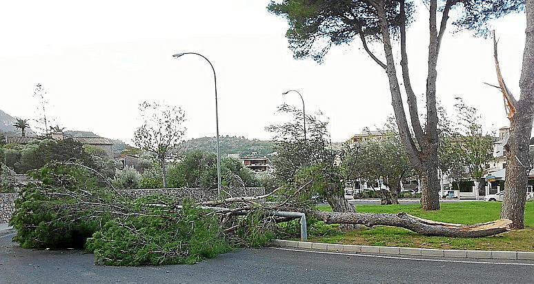 Temporal de viento