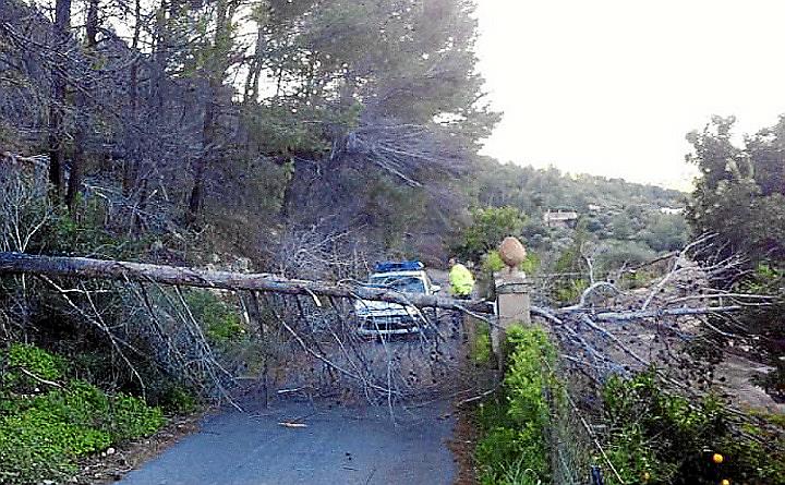 Temporal de viento