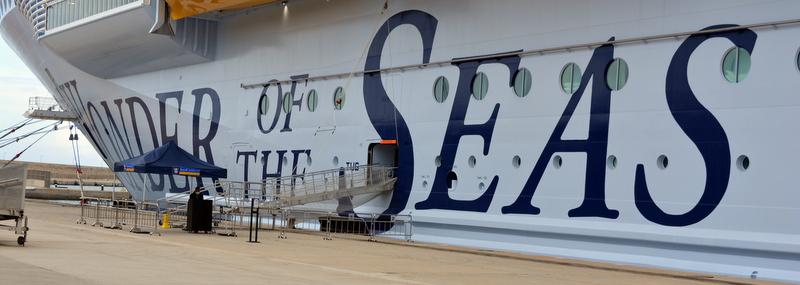 Así es el Wonder of the Seas