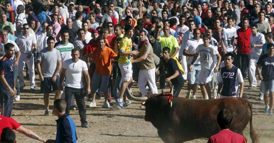 Tensión en el torneo del Toro de la Vega
