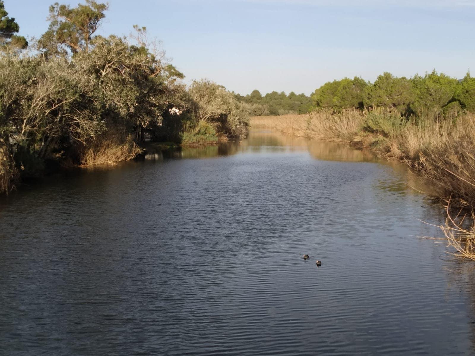 La gran riqueza natural de Capdepera es uno de sus patrimonios más importantes y a su conservación se orientan muchos proyectos.