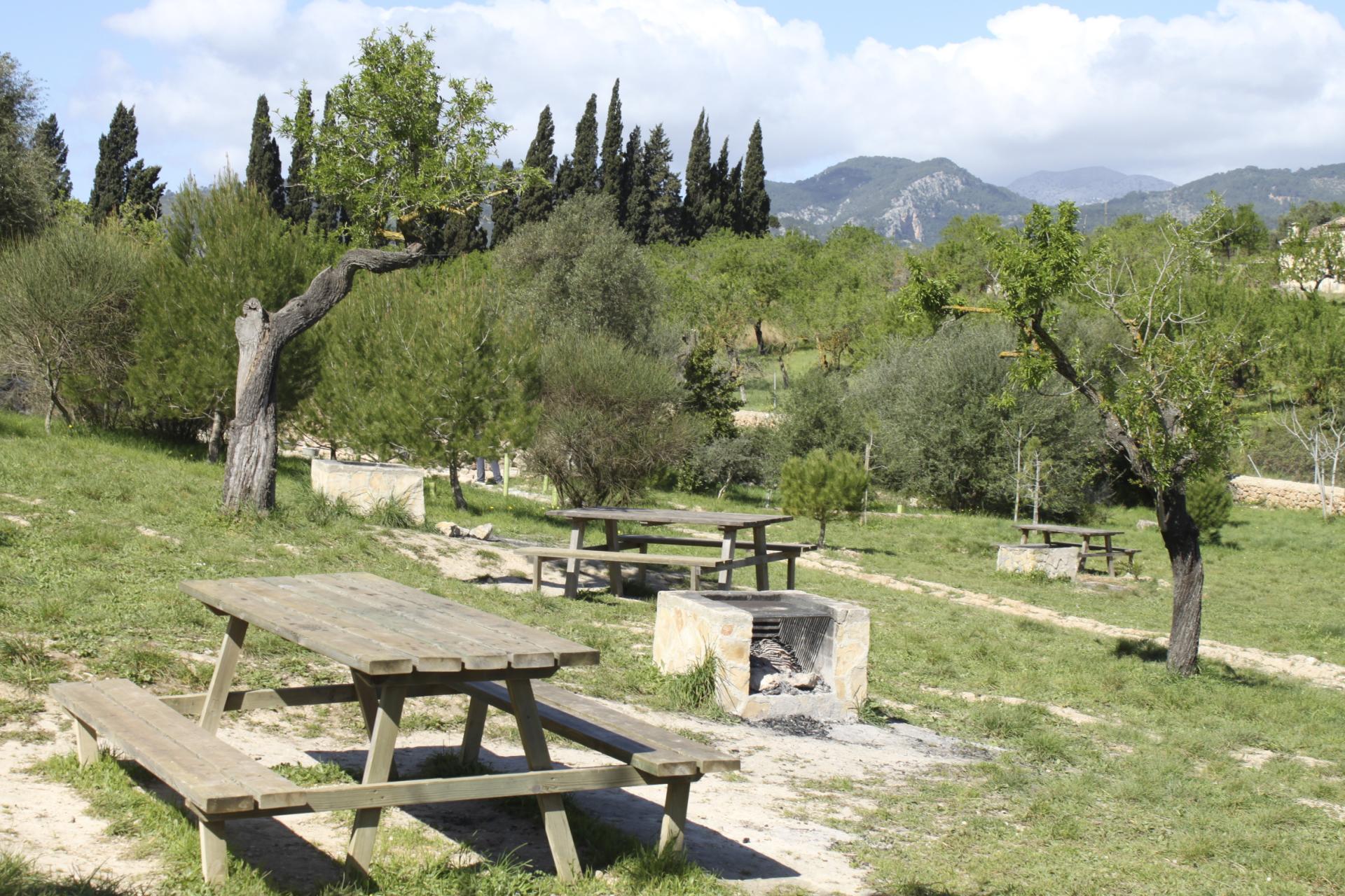 INCA - MEJORA DEL SERRAL DE LES MONGES.