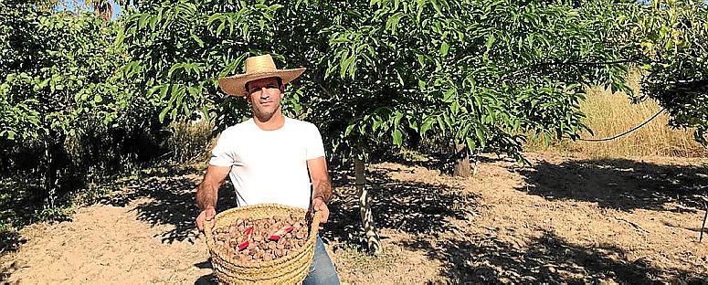 eMallorca Experience