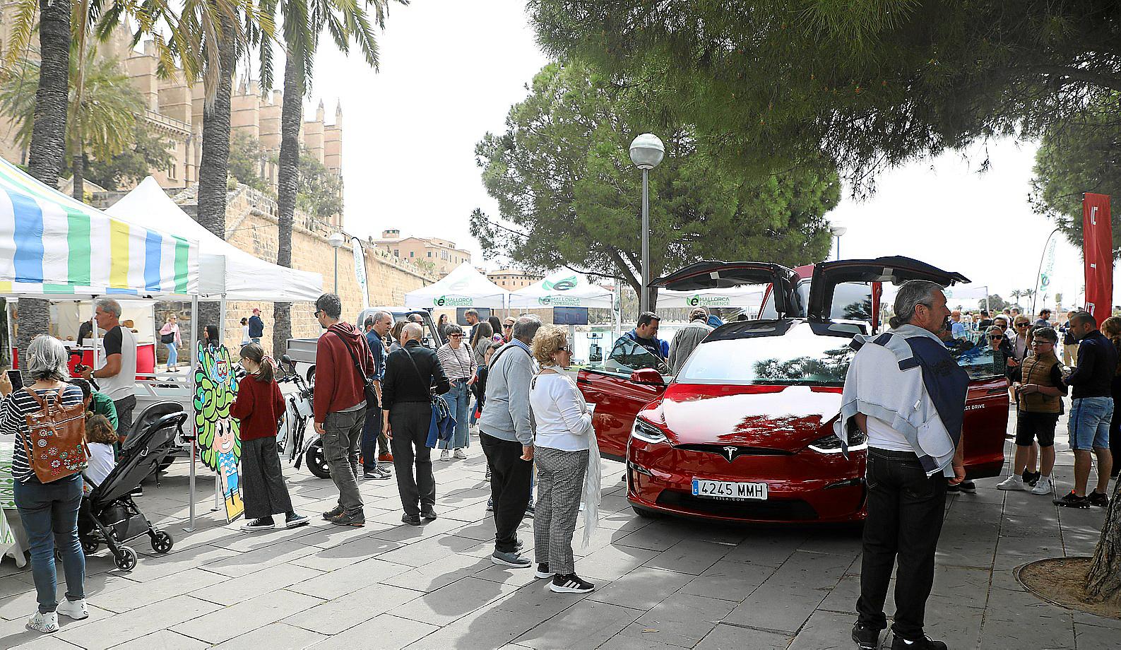 eMallorca Experience