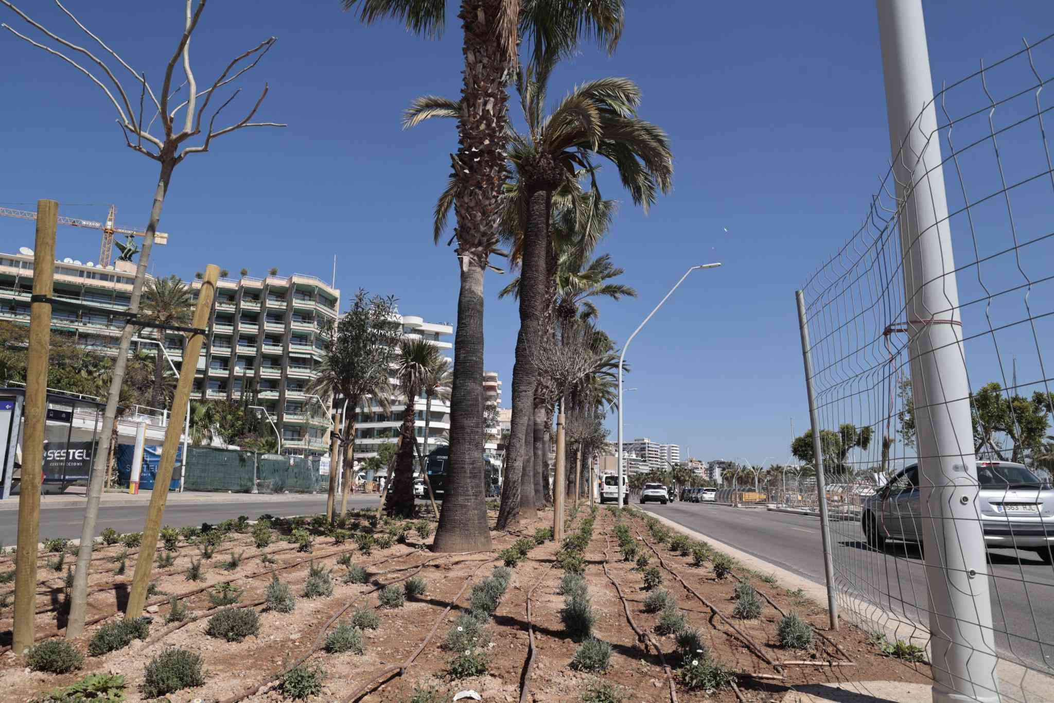 Obras en el Paseo Marítimo de Palma