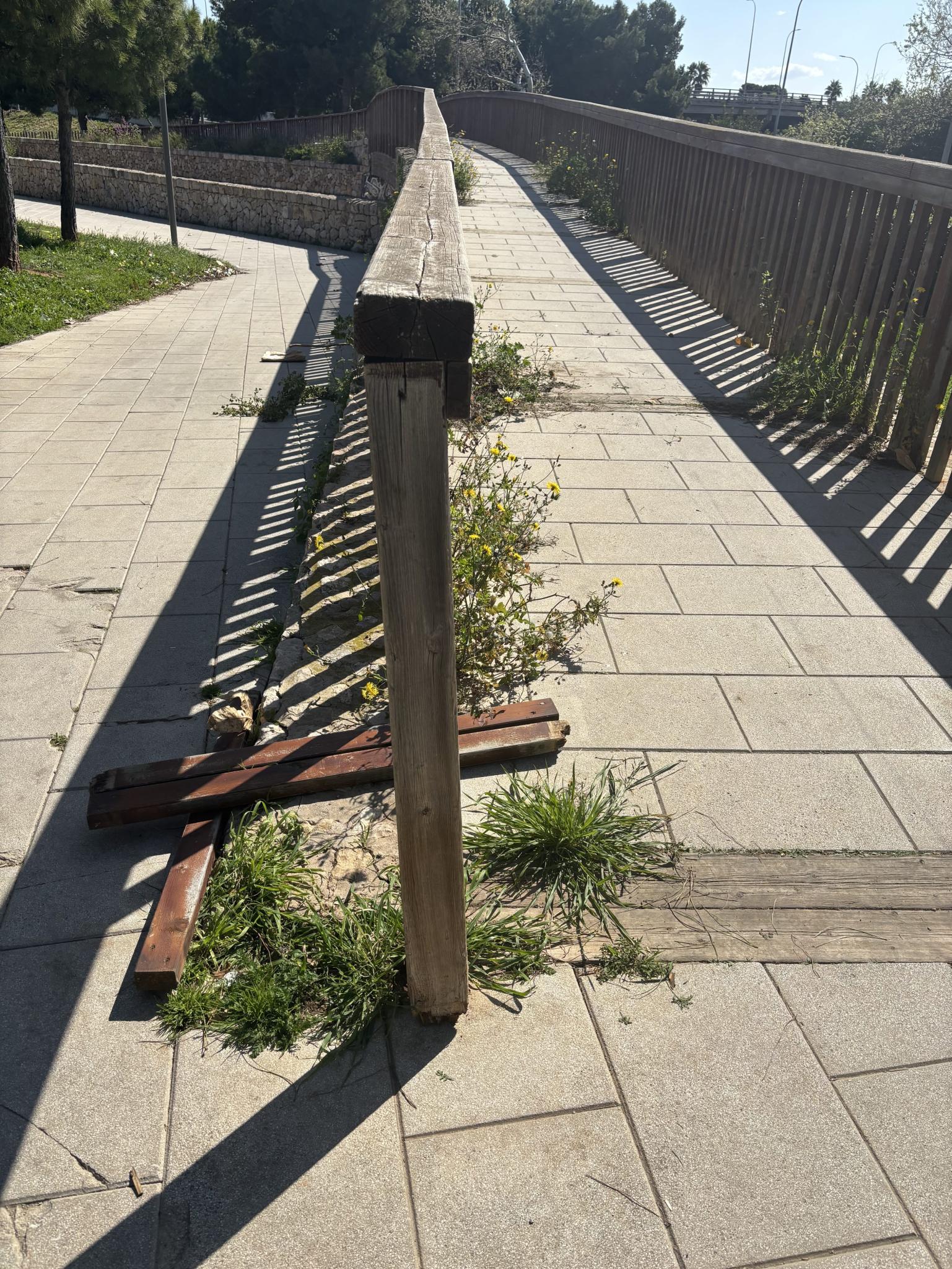 pppuente6.jpg