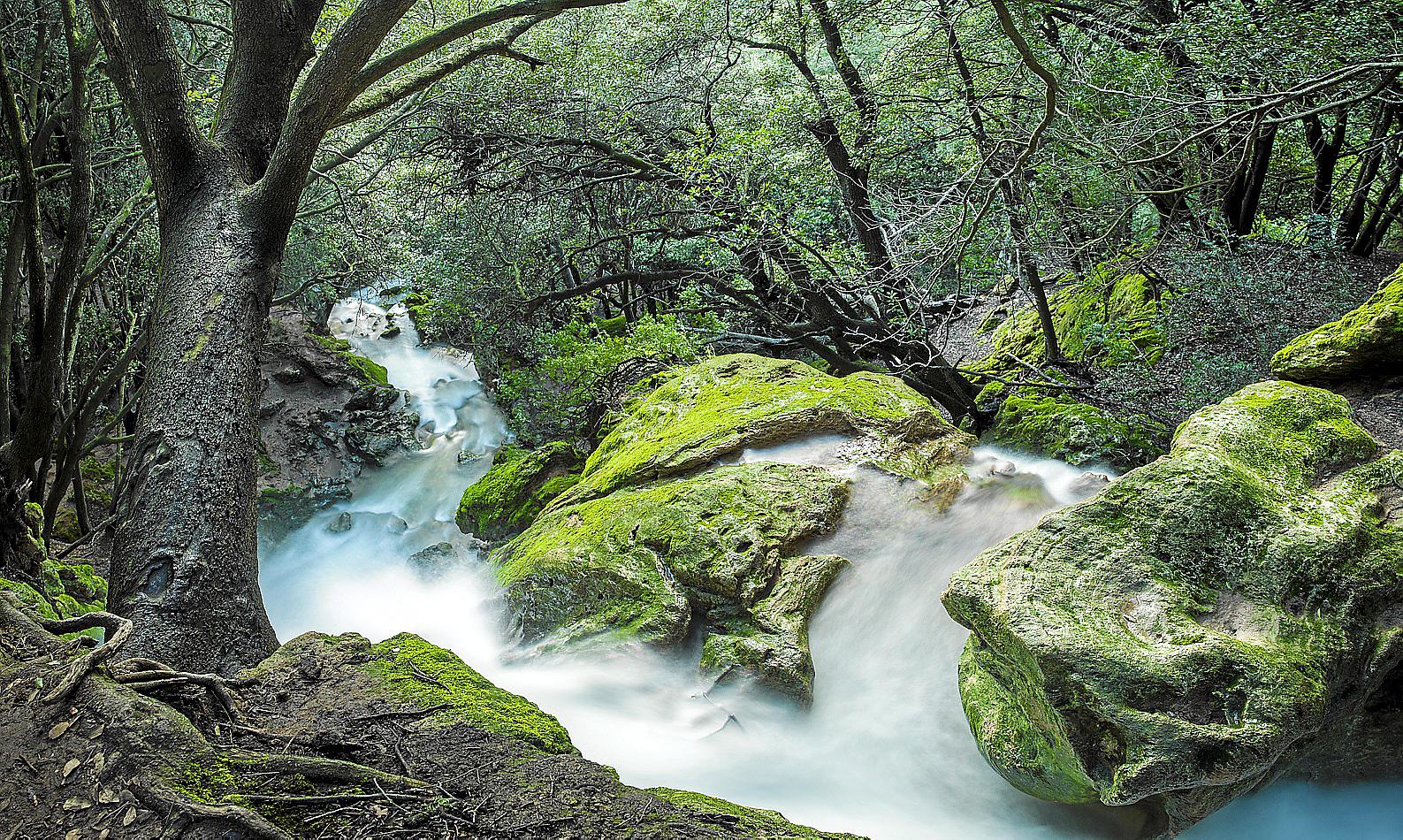 eMallorca Experience