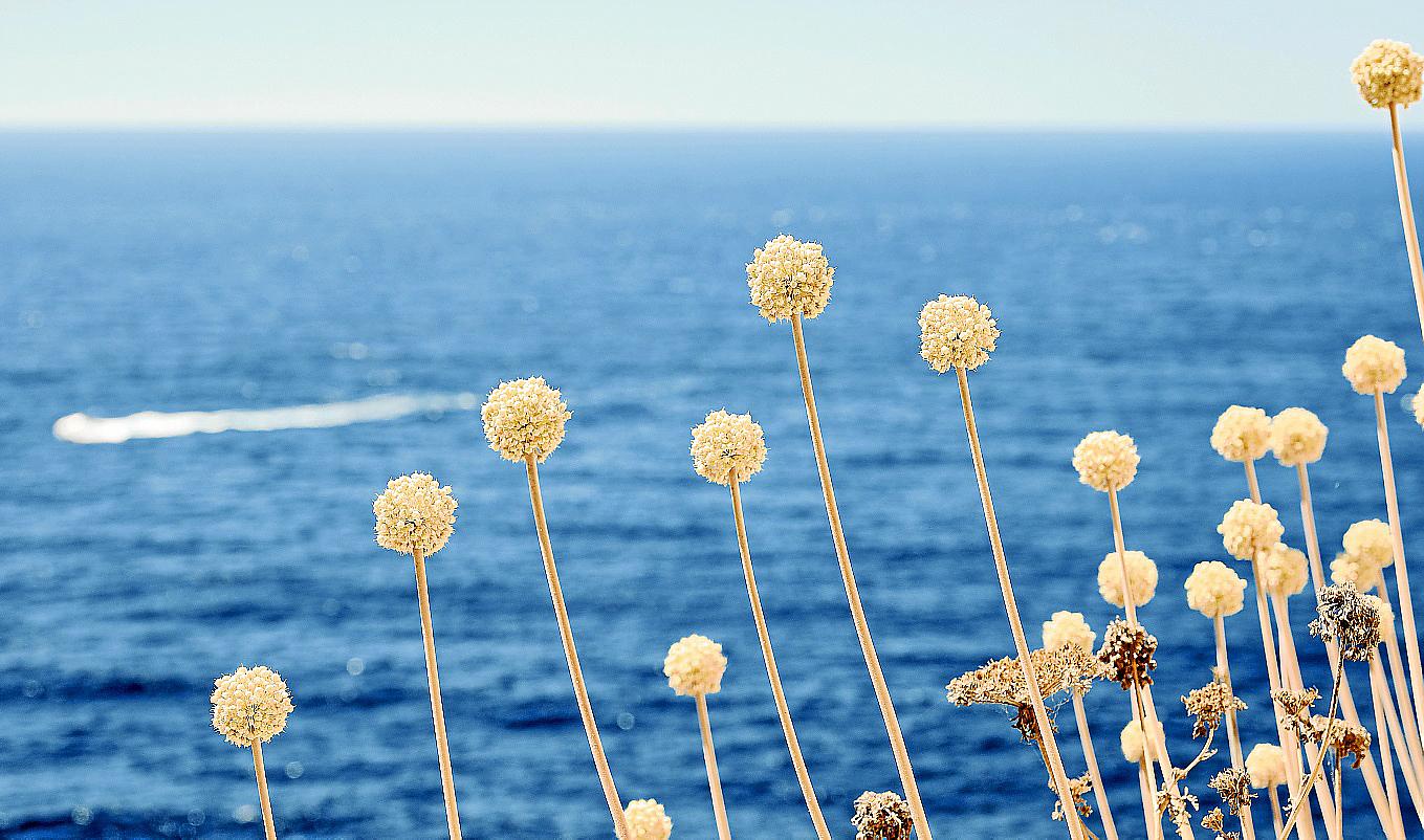 eMallorca Experience