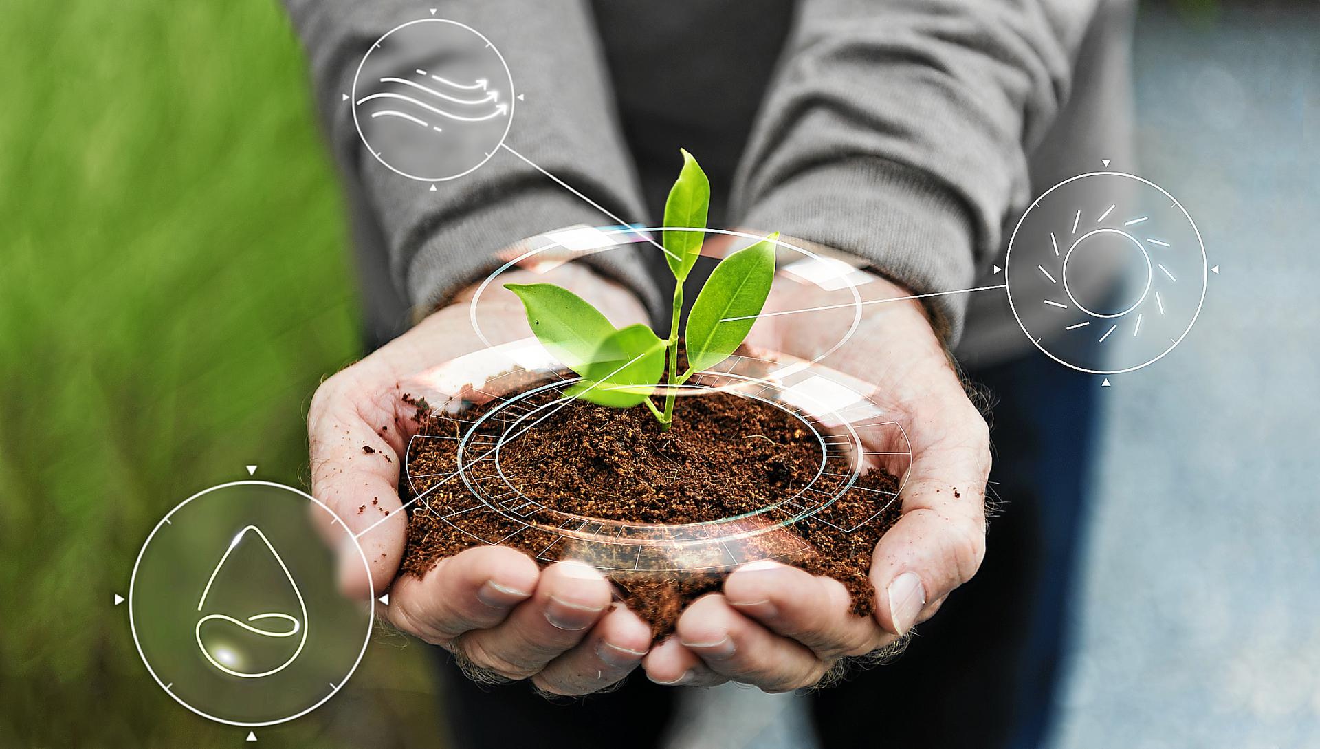 emallorca experience economia regenerativa