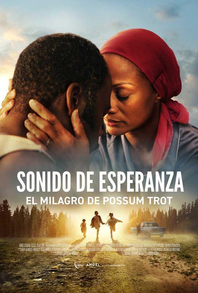 Ver detalle de la película