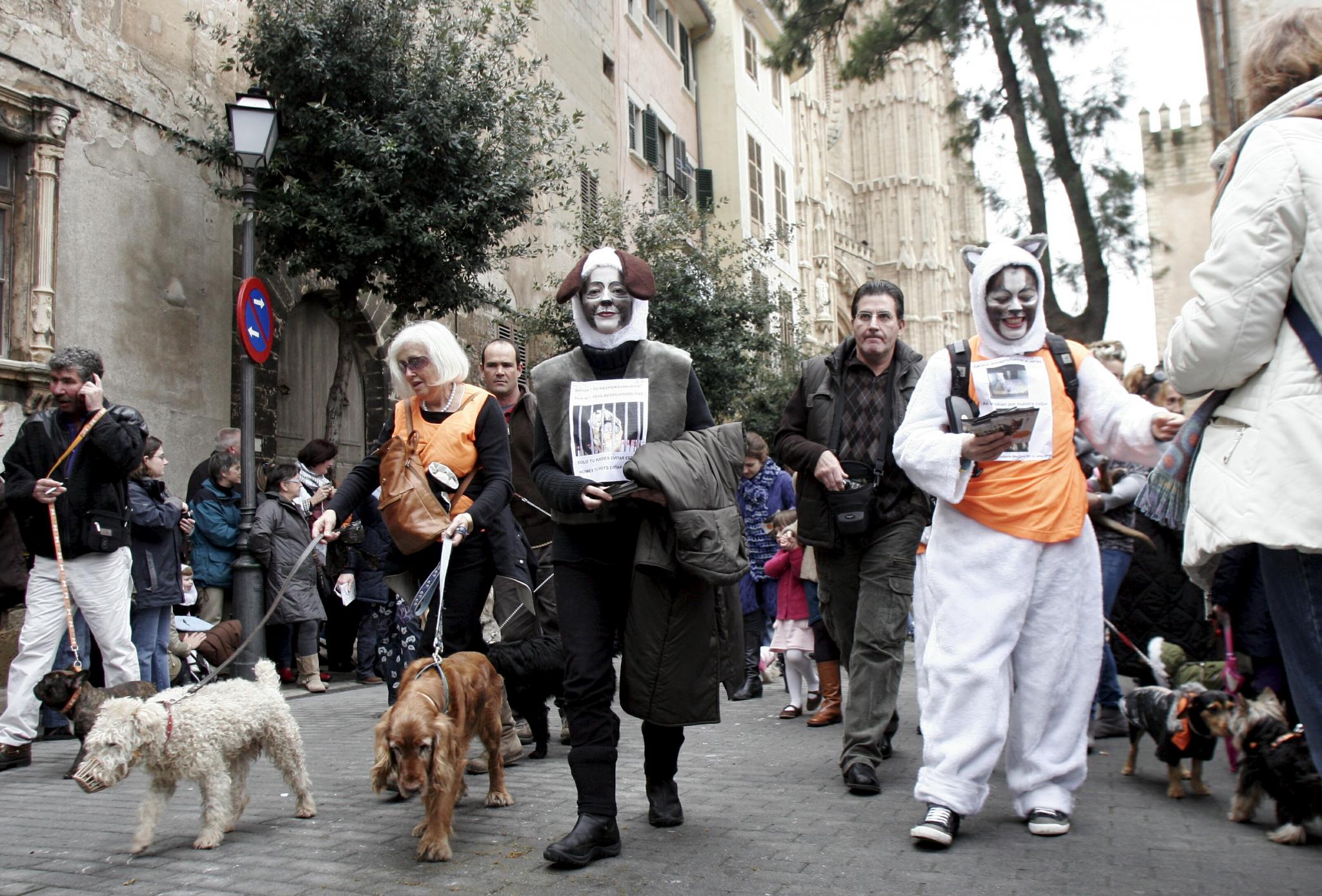 Beneïdes de Sant Antoni en Palma