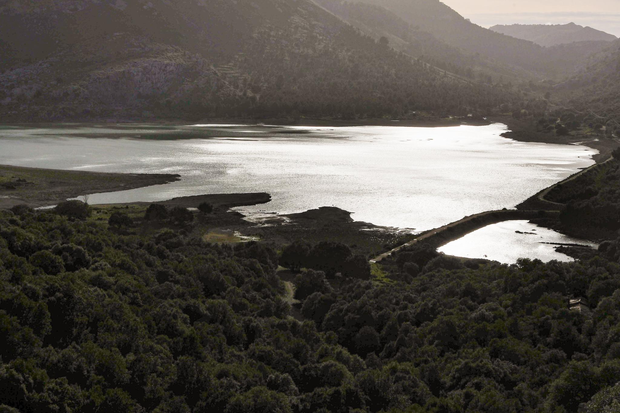 Las reservas de los embalses que abastecen a Palma siguen al alza: superan en casi 13 puntos a las de hace un año