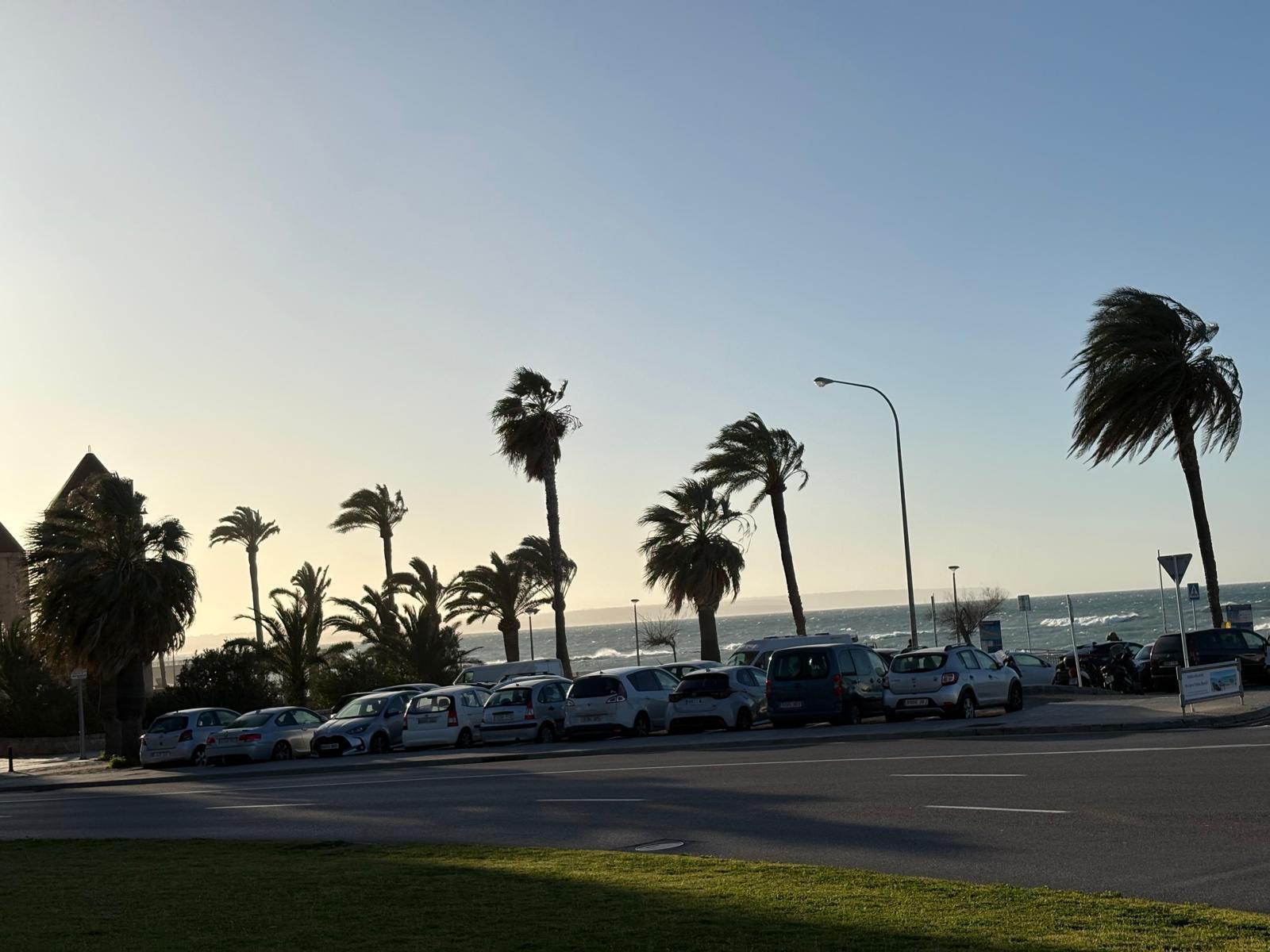 ‘Nils’ sacude a Mallorca: las rachas de viento ya han llegado a los 150 km/h