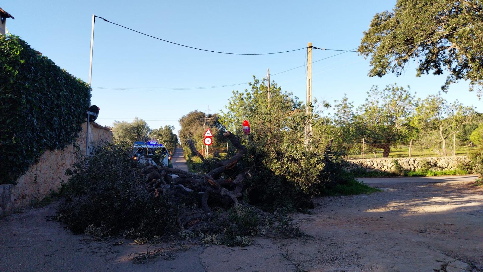 Incidentes en la comarca del Llevant, Inca y Sa Pobla
