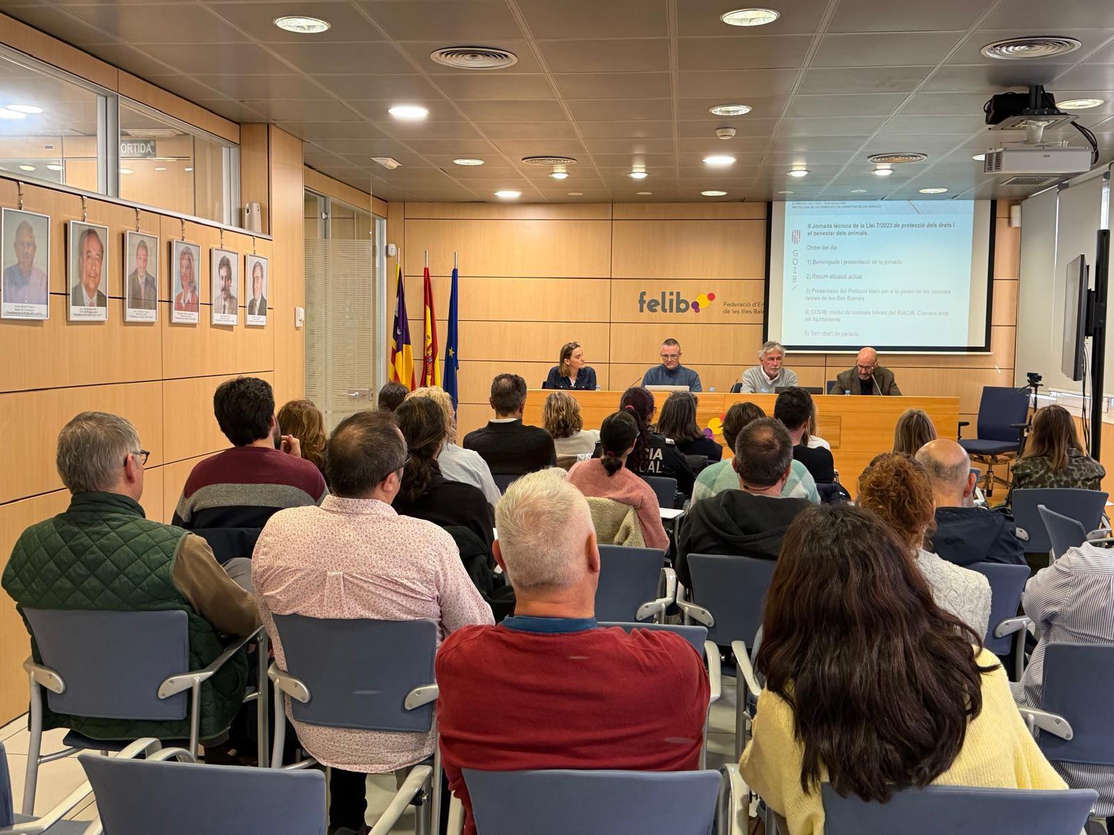 Solo 18 municipios de la Isla cuentan con un censo o mapeo de las colonias felinas