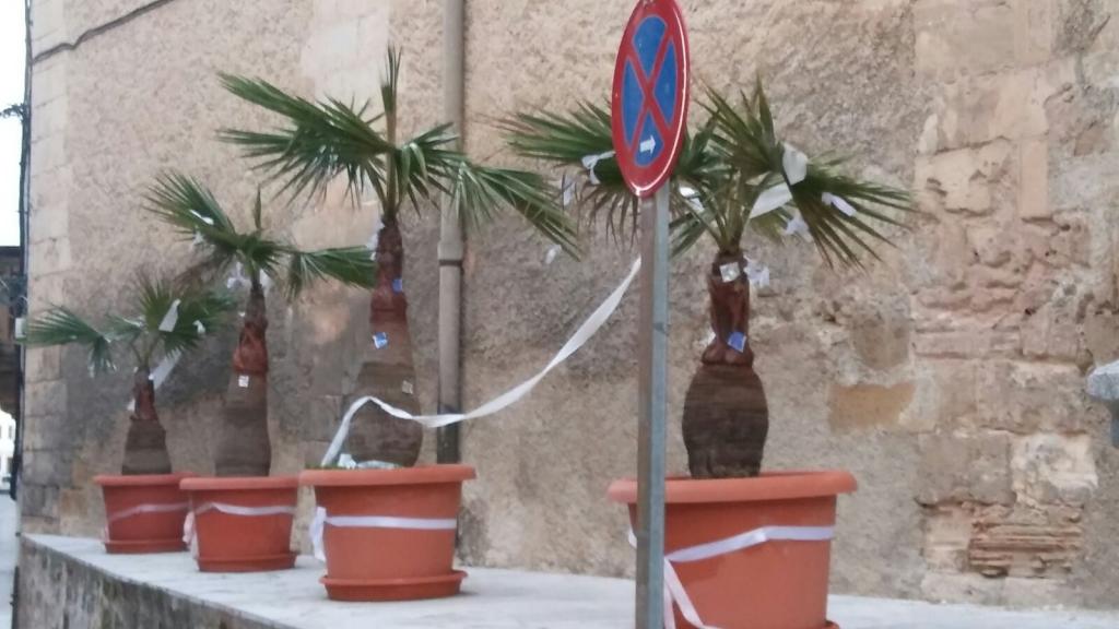 Inocentadas de los quintos del Pla de Mallorca