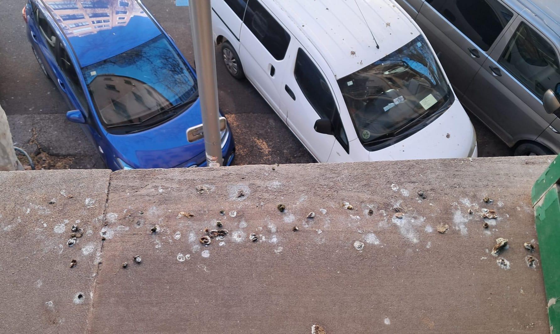 Denuncian la constante presencia de excrementos de aves en las ventanas y coches en el ensanche de Palma