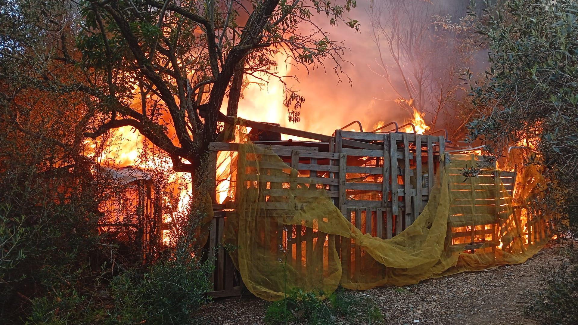 Arrestado el autor del incendio de una chabola en un asentamiento en Palma