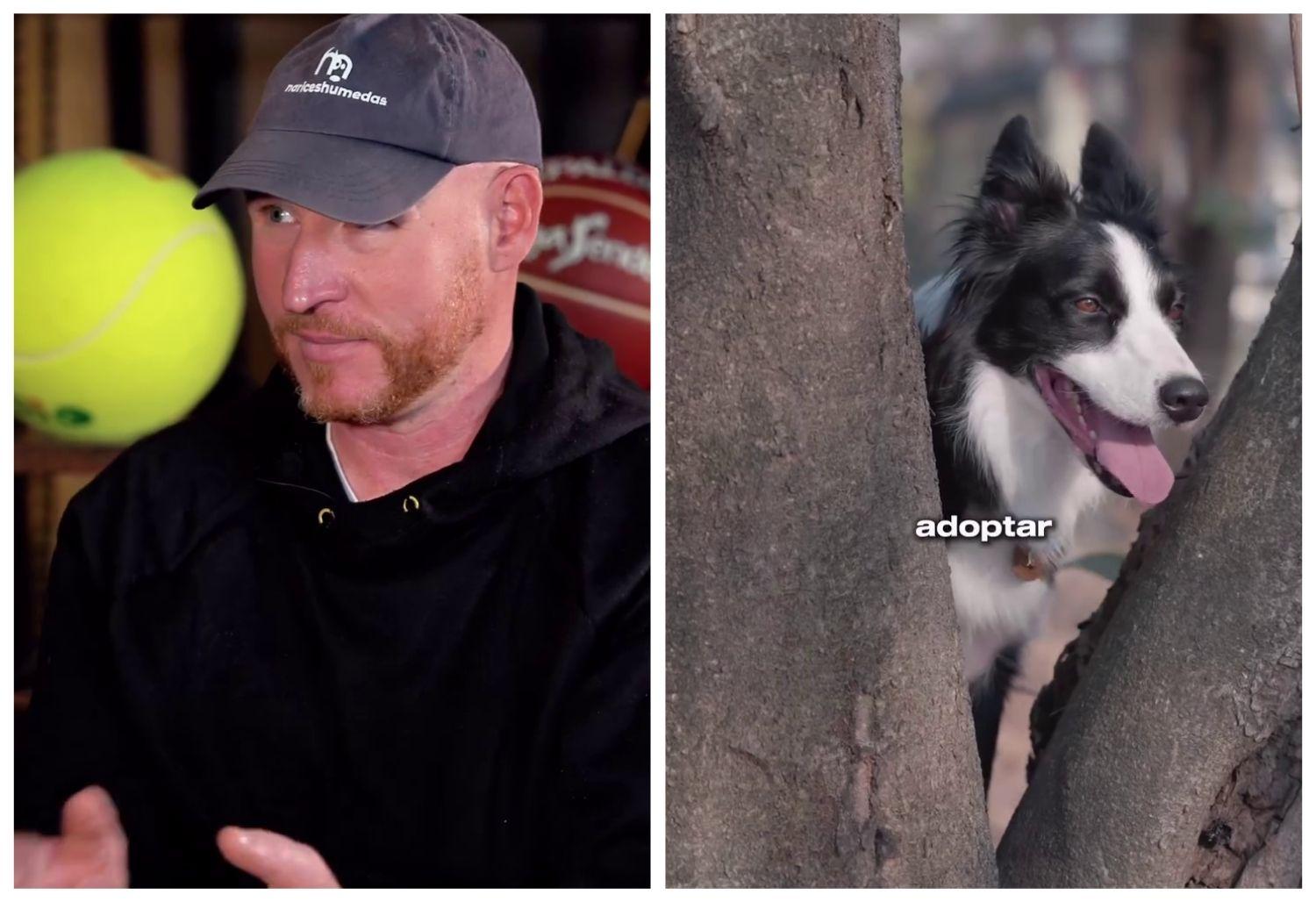 Alan Peiró, experto canino, sobre la decisión de adoptar tu primer perro: «Yo empezaría con esta raza»