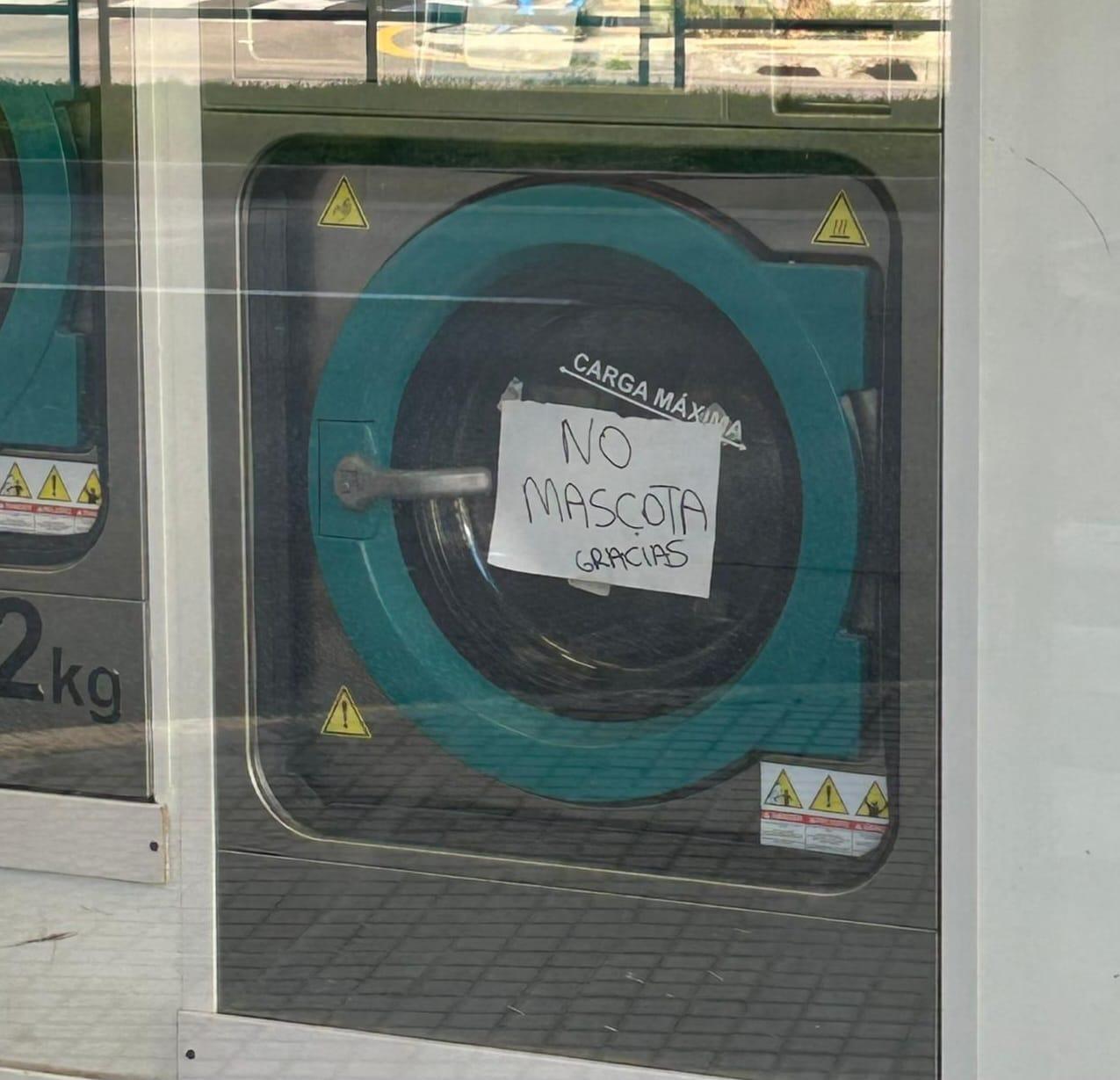 La insólita imagen en una lavandería de Palma: «No mascota. Gracias»