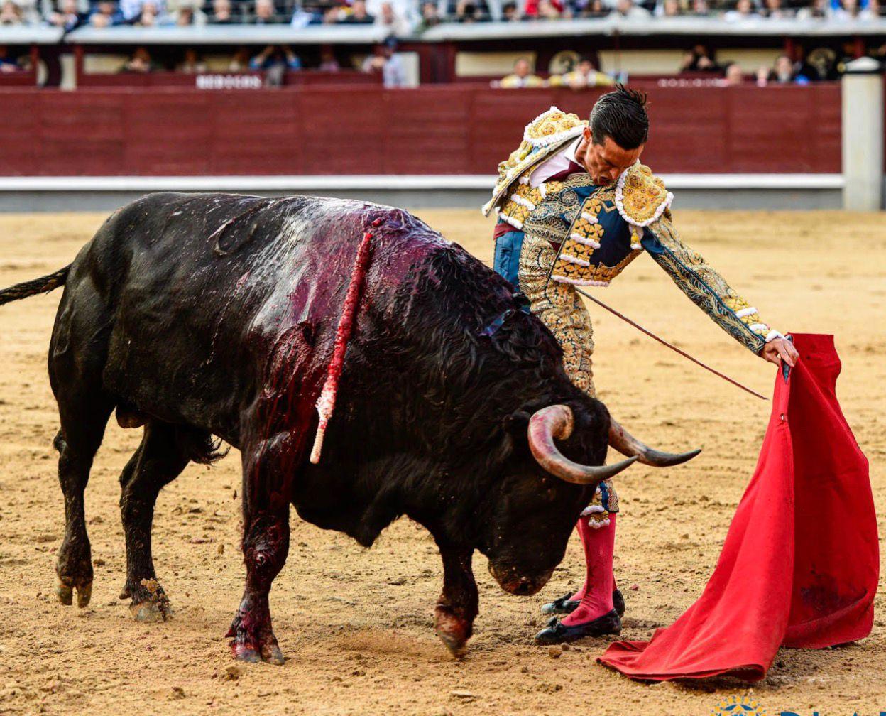Festejo taurino en Inca para el Domingo de Ramos