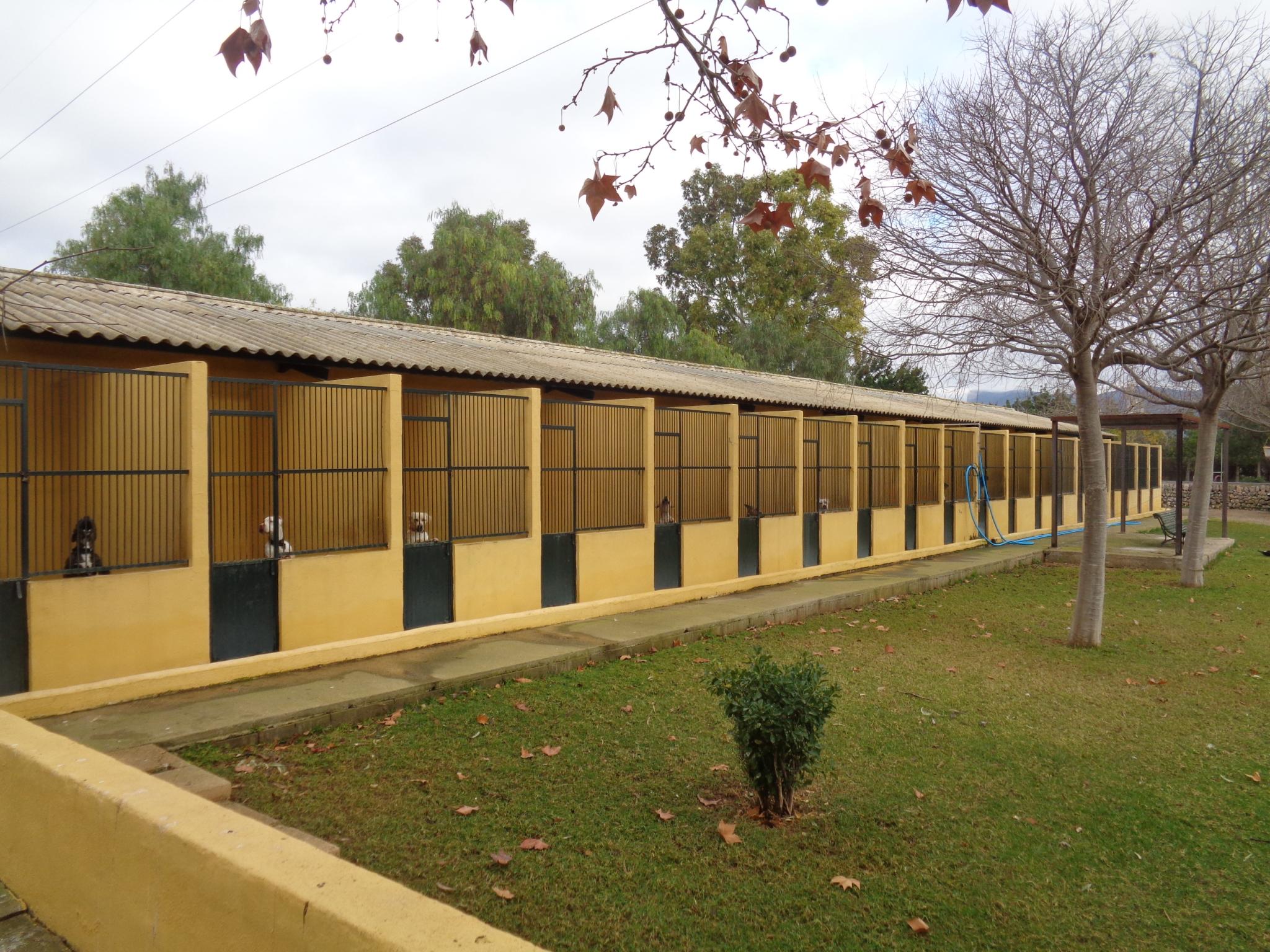 Voluntarios de Son Reus critican la gestión del director en funciones: «Ha llegado la dictadura»