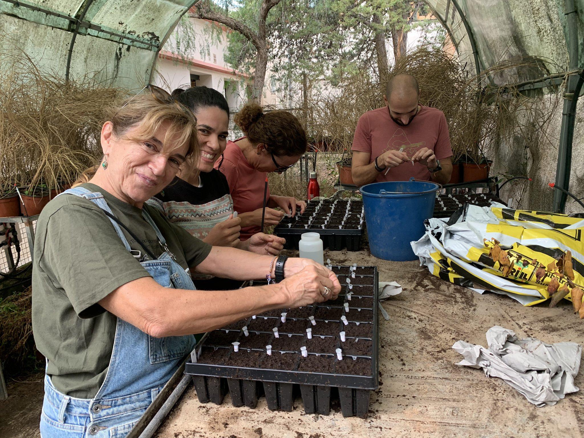 Un jardín de Esporles tiene la clave para predecir la supervivencia de las plantas al cambio climático