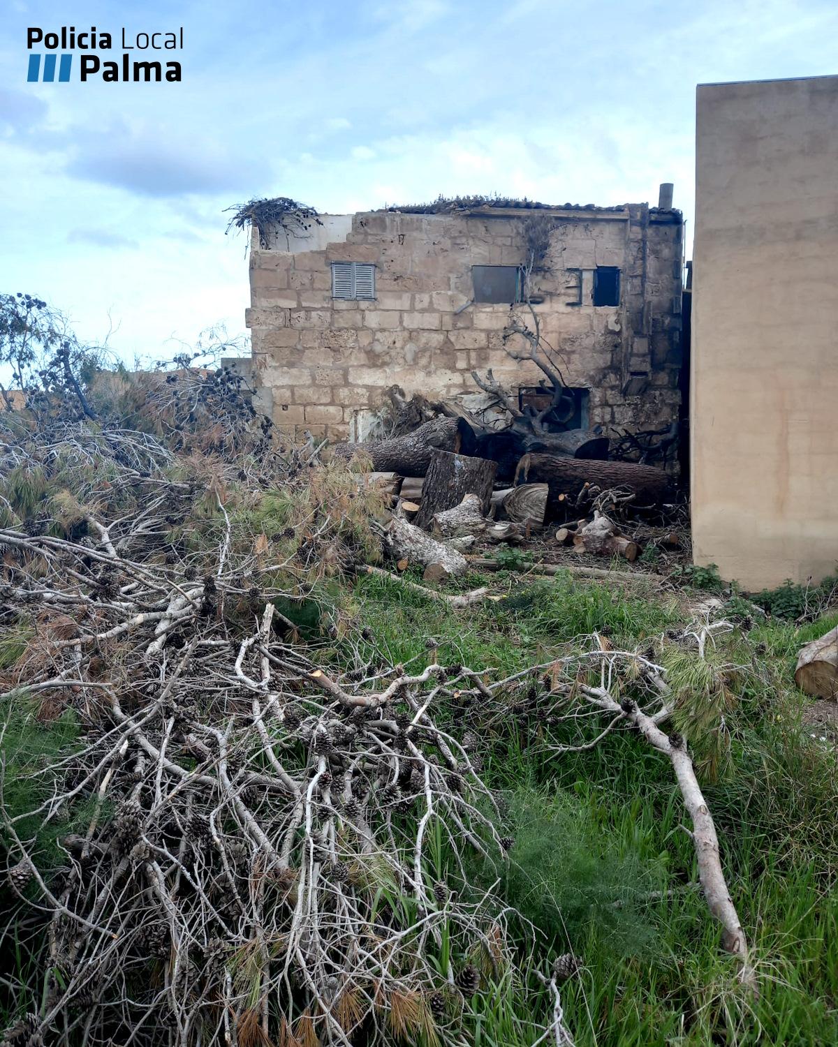 Cuatro hermanos denunciados en Palma por abandonar una parcela que se incendió al no estar bien cuidada