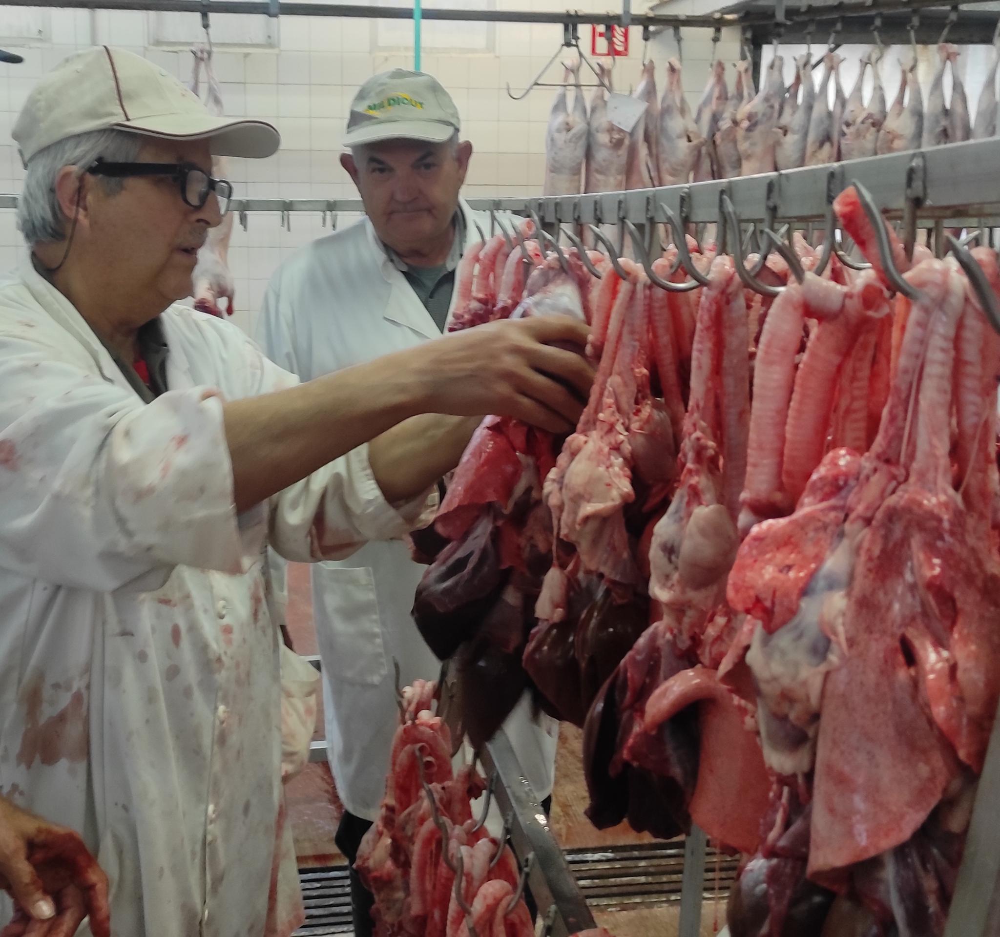 Agotado el cordero de Pascua