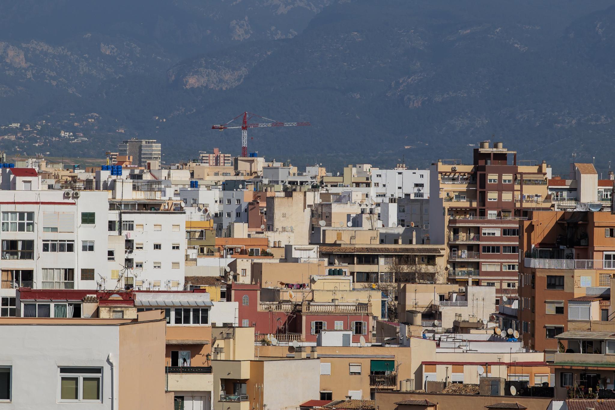 Centenares de mallorquines ya han solicitado la prórroga del contrato del alquiler