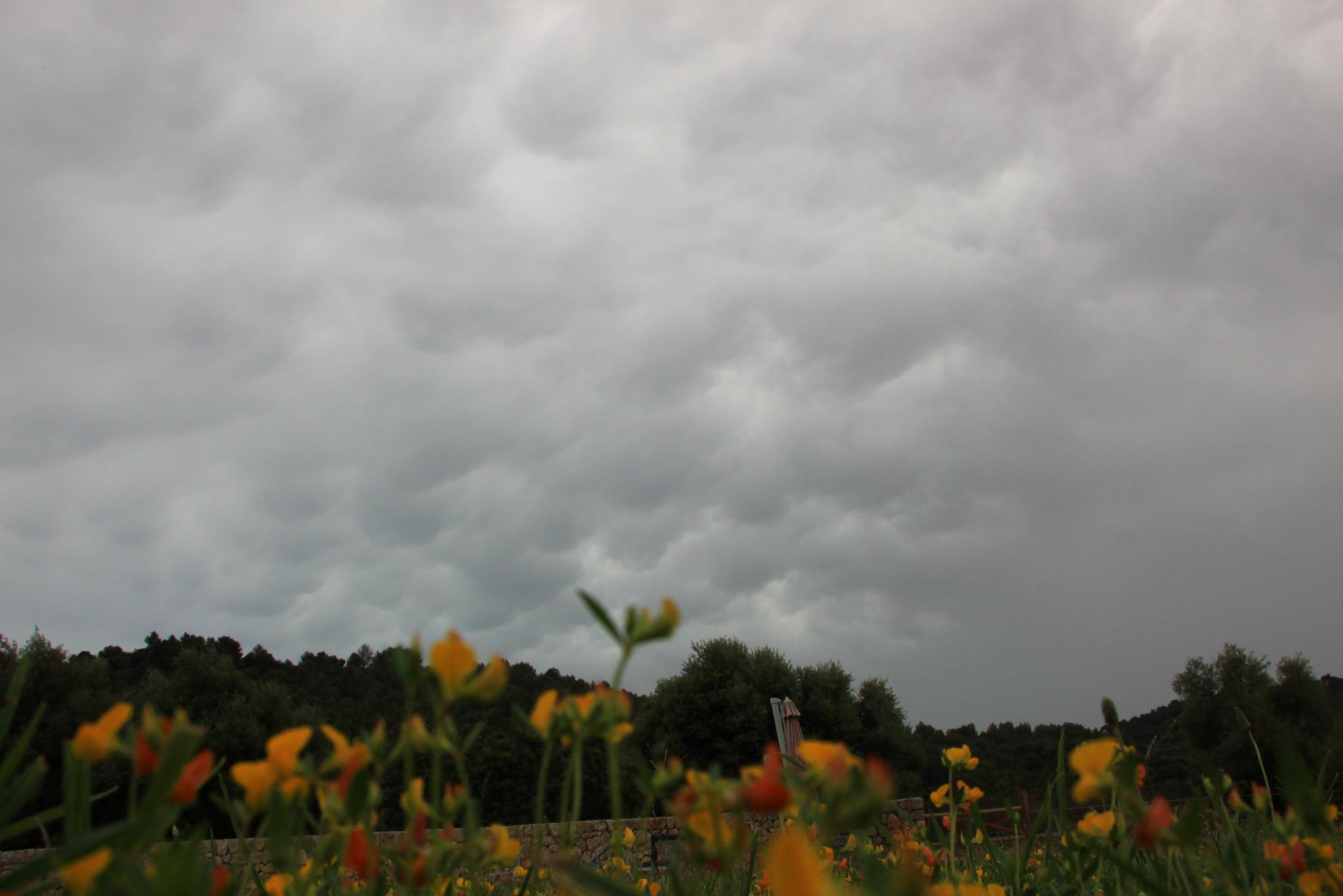 Domingo de invierno en Mallorca: desplome térmico, lluvias y viento