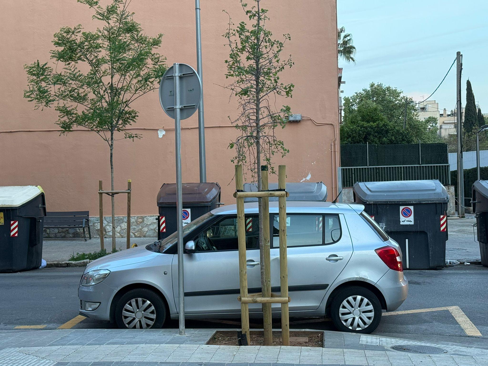 La surrealista plaza de aparcamiento para personas con movilidad reducida: una señal y un árbol bloquean el acceso