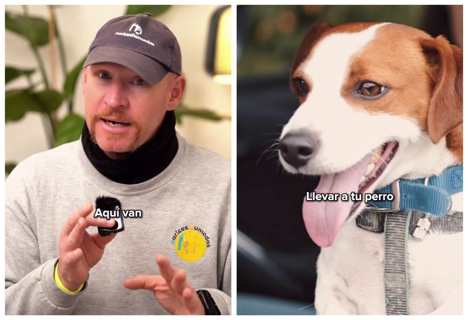 Soy adiestrador canino y esto es lo que nunca debes hacer con tu perro en el coche