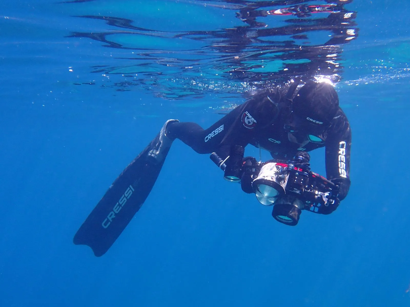 El cazafotosub apnea... O cómo hacer fotos a peces en las profundidades