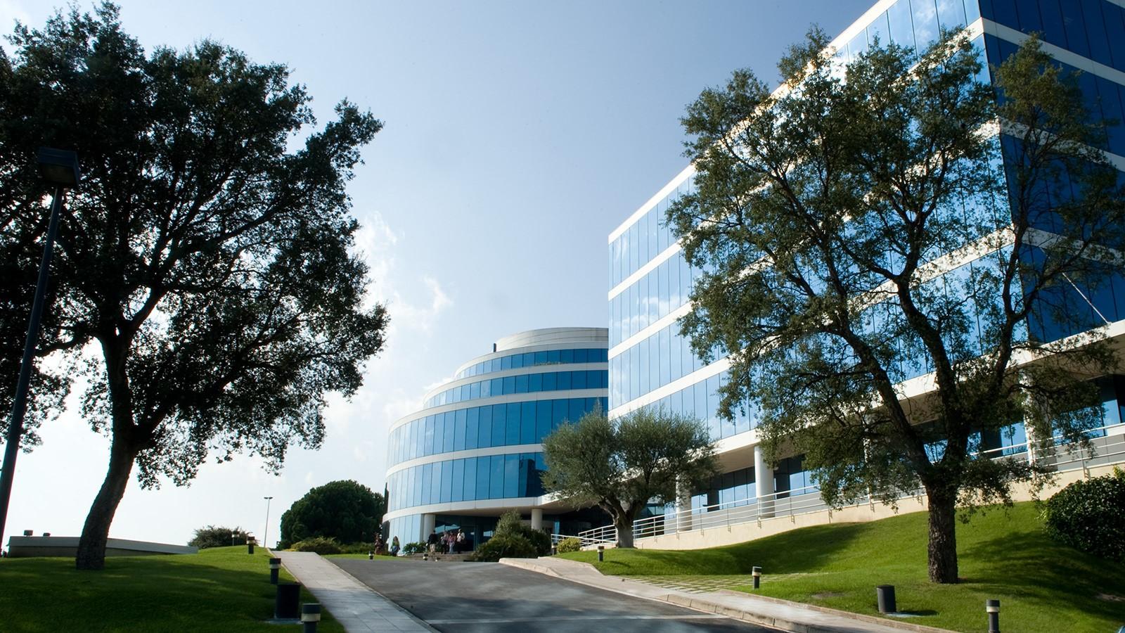 Una nueva vía para prevenir la litiasis renal