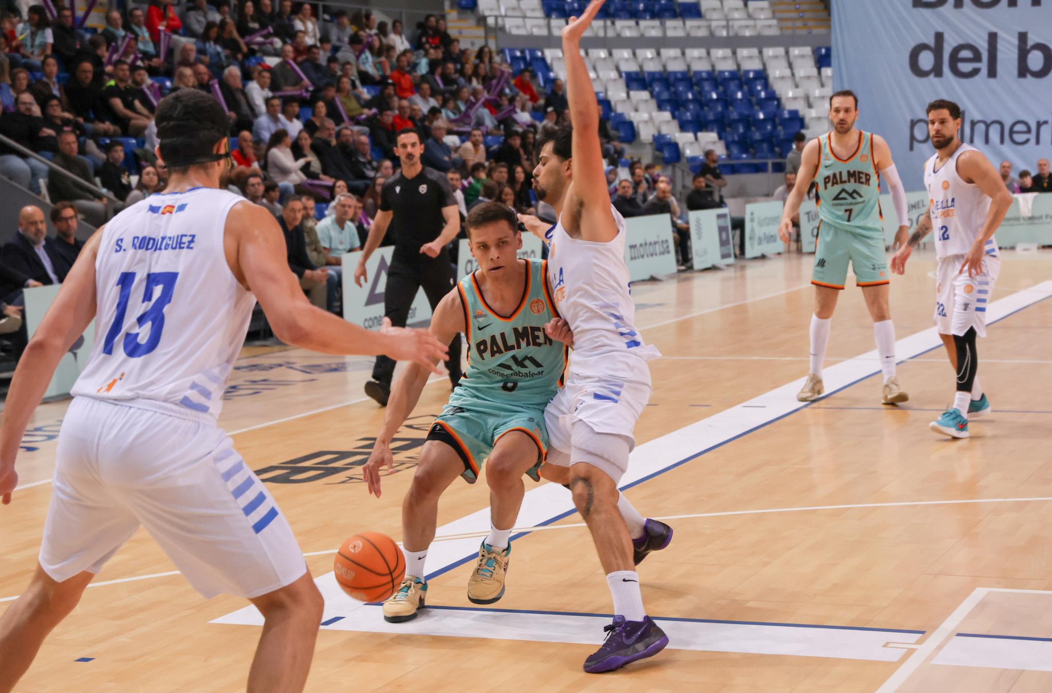 El Palmer Basket quiere remontar el vuelo