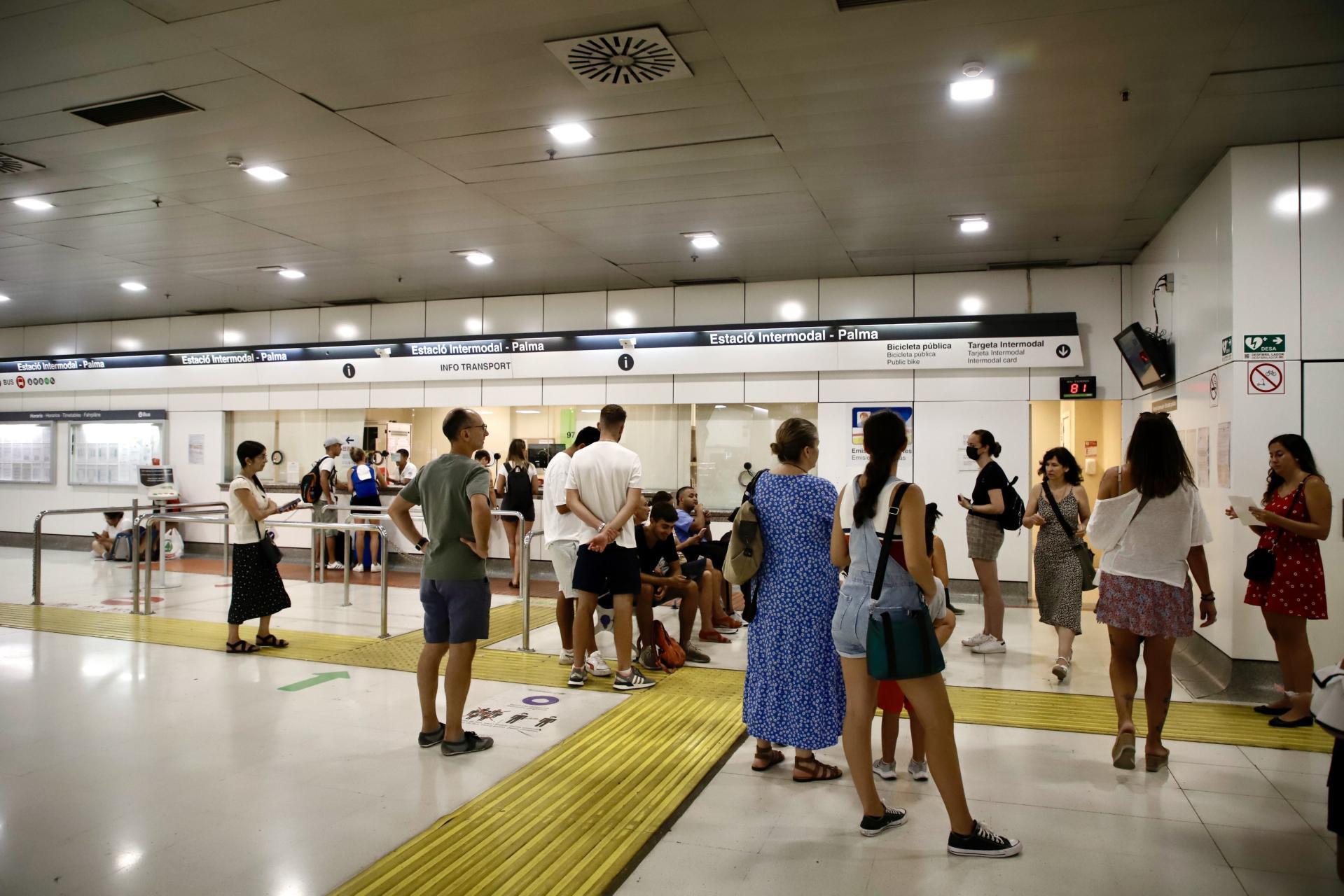 La regularización impulsa la petición masiva del historial de viajes de transportes: 6.000 desde enero