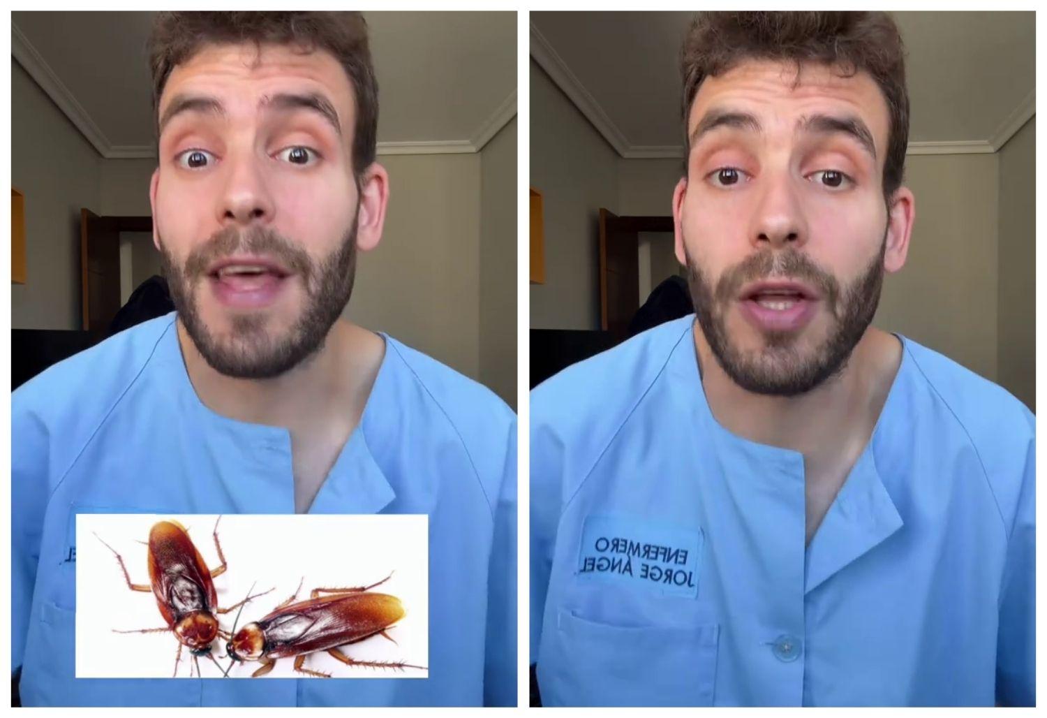 Jorge Ángel, enfermero, sobre las cucarachas: «Si las aplastas liberan bacterias que no nos vienen nada bien»