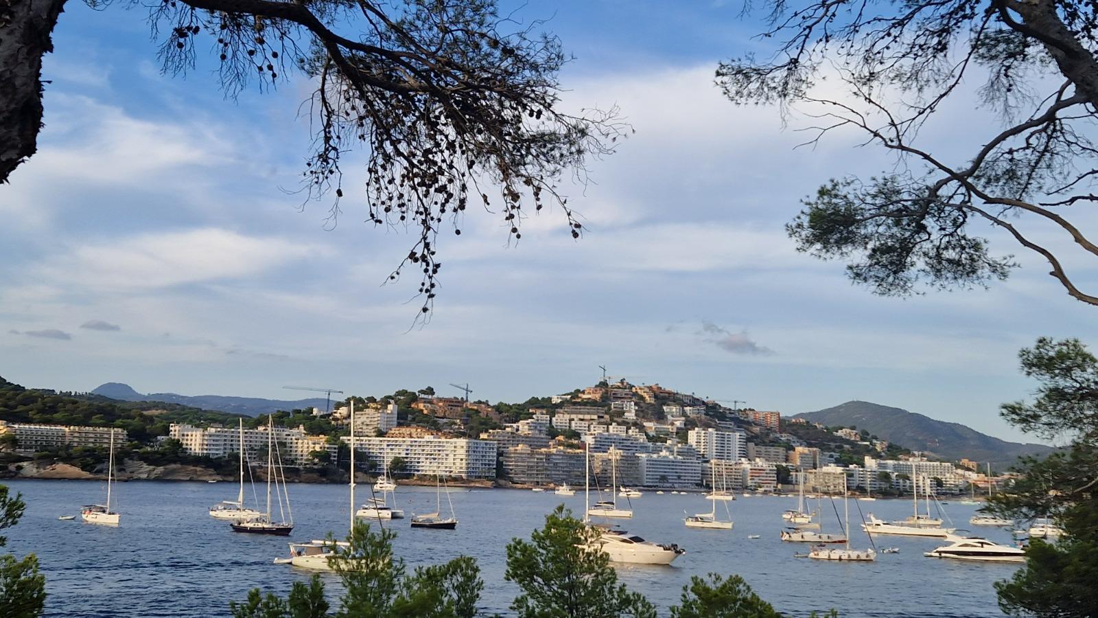 El Govern abre diligencias previas contra Airbnb y Lista séptima por el alquiler de embarcaciones