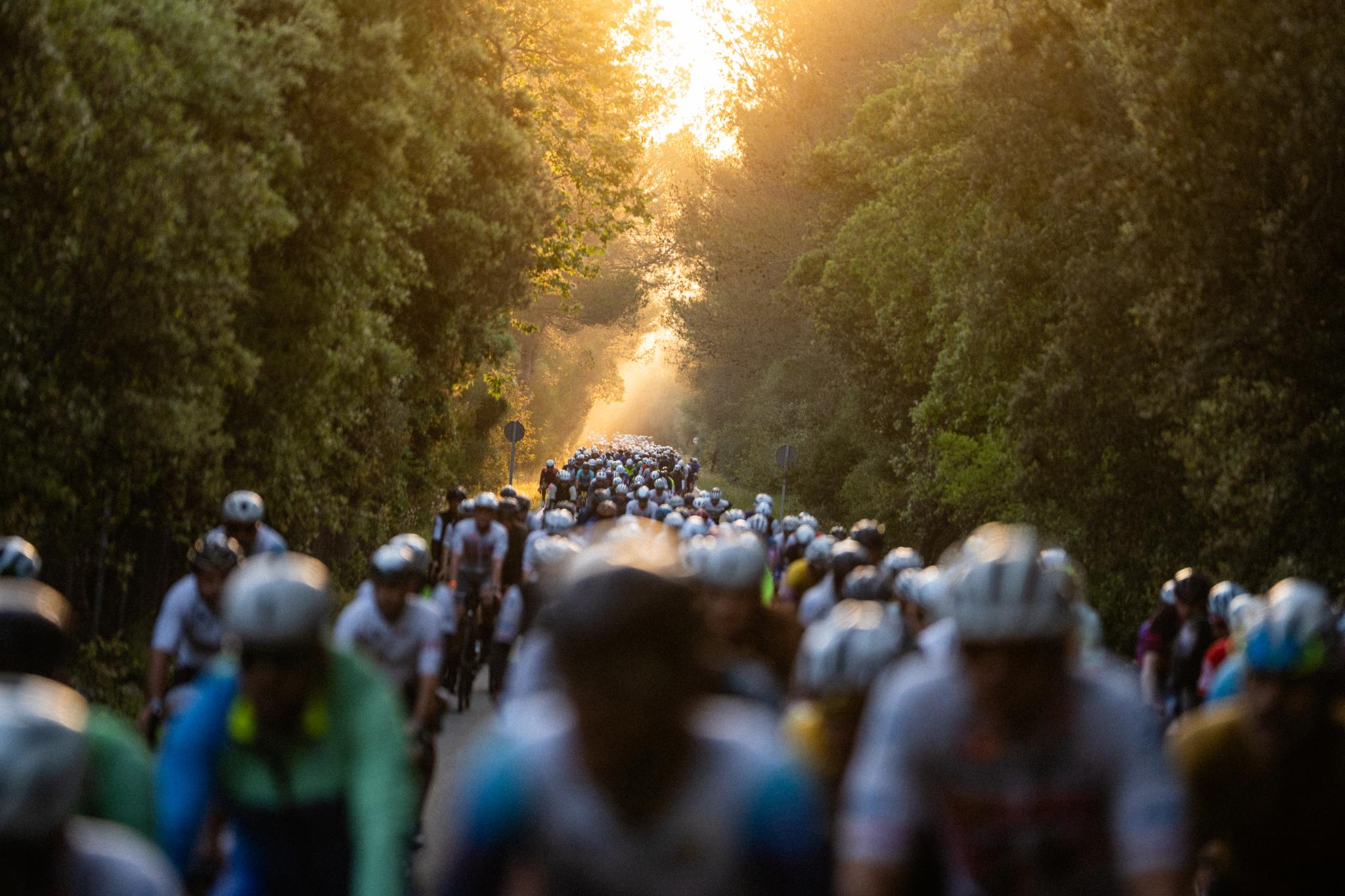 8.500 ciclistas de la Mallorca 312 recorren la Isla en un ambiente festivo y sin incidencias