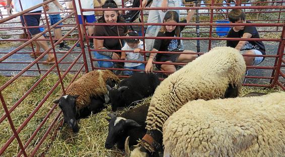 Calvià reivindica su legado rural