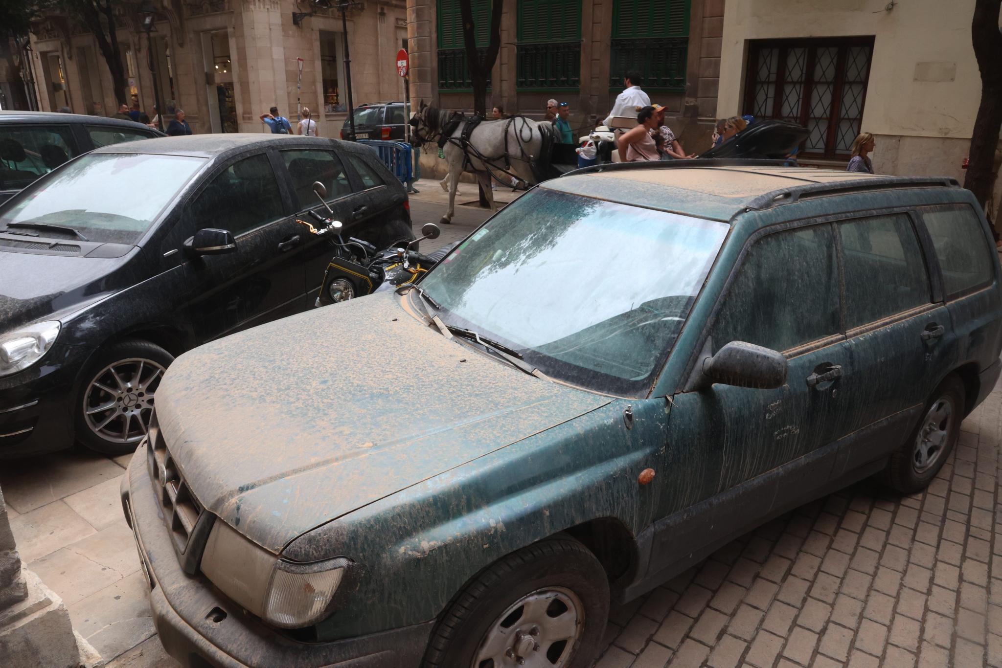 Una borrasca situada en el norte de África afectará a Mallorca los próximos días