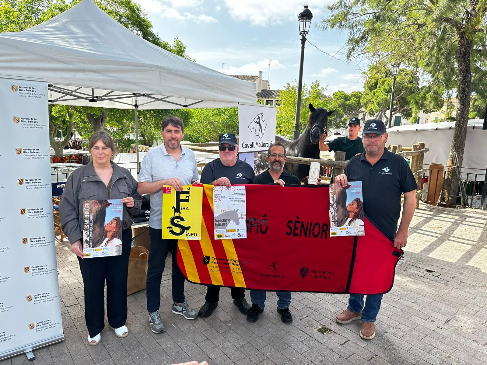 El concurso morfológico de ‘cavall mallorquí’ impulsa la conservación de la raza autóctona