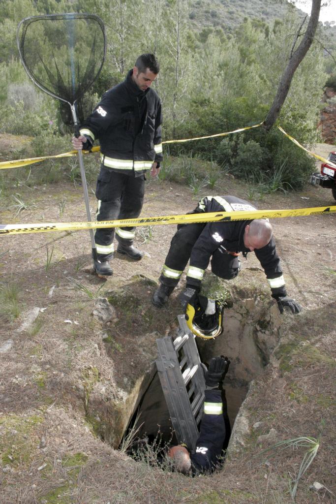 Rescate perro sa Vileta fotos de Alejandro Sepúlveda y JAR (2).jpg