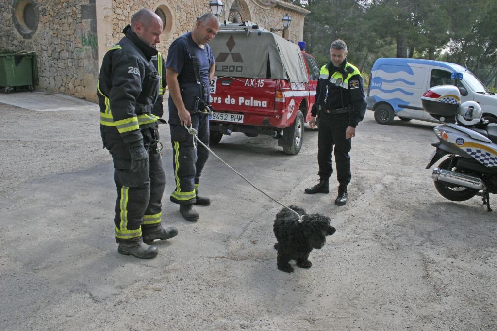 Rescate perro sa Vileta fotos de Alejandro Sepúlveda y JAR (9).jpg