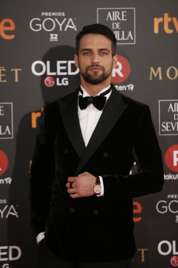 Las imágenes de la alfombra roja de los Premios Goya 2018