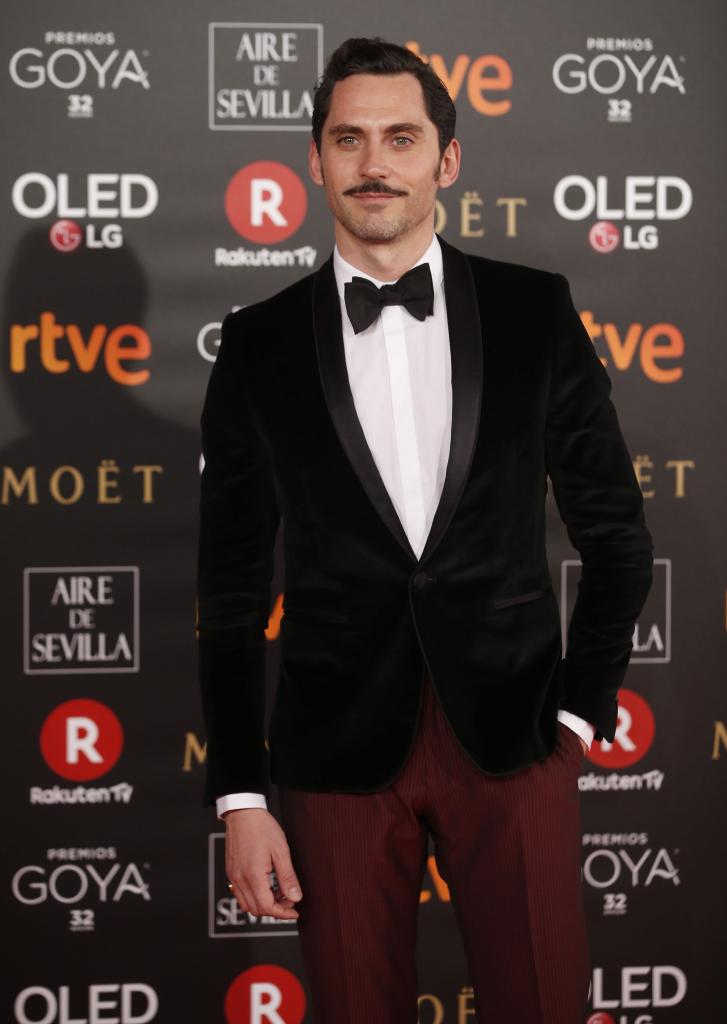 Las imágenes de la alfombra roja de los Premios Goya 2018